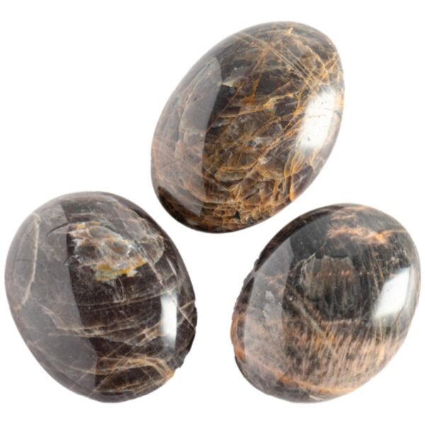 Black Moon Stone Palm Stone