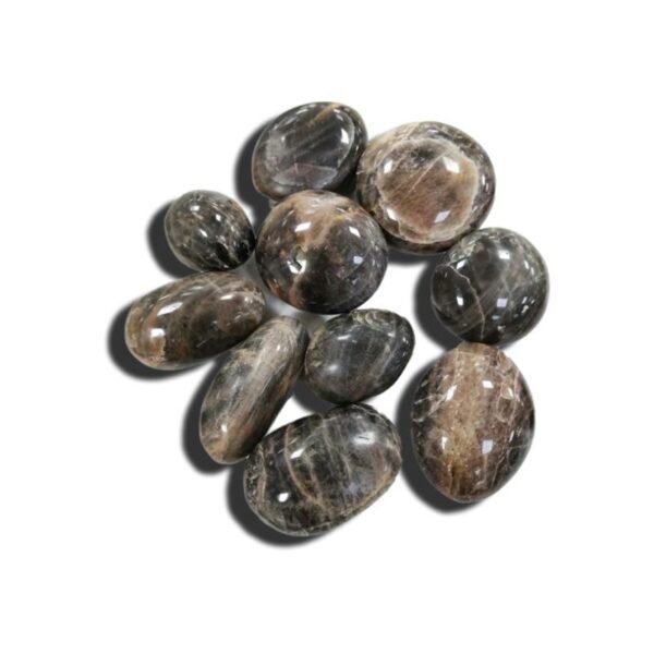 Black Moon Stone Tumbled Stone