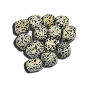 Dalmation Jasper Tumbled Stone