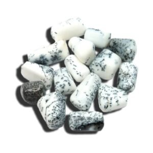 Dendritic Agate Tumbled Stone