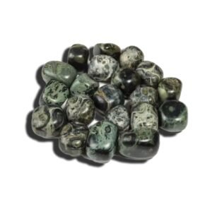 Kambaba Jasper Tumbled Stone