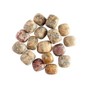 Leopard Skin Jasper Tumbled Stone