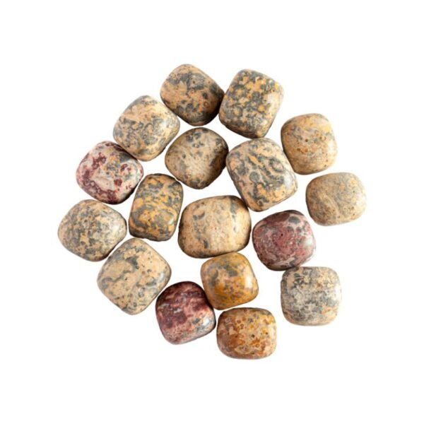Leopard Skin Jasper Tumbled Stone
