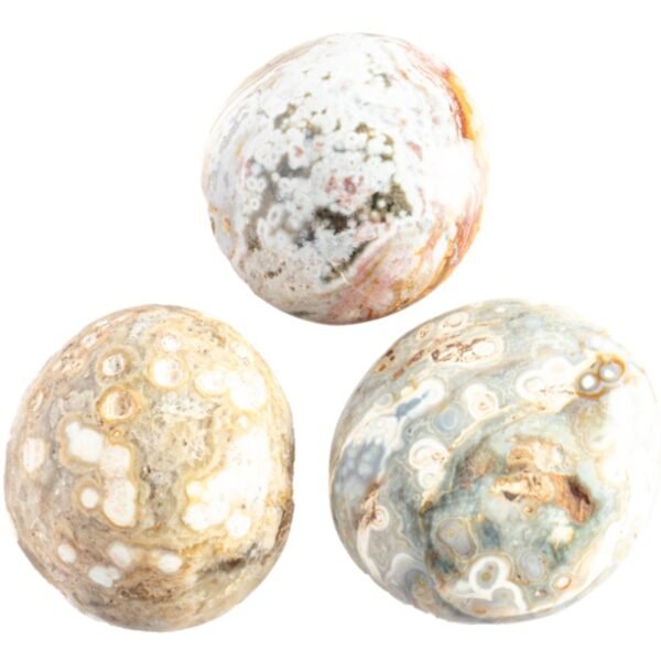 ocean jasper palm stone