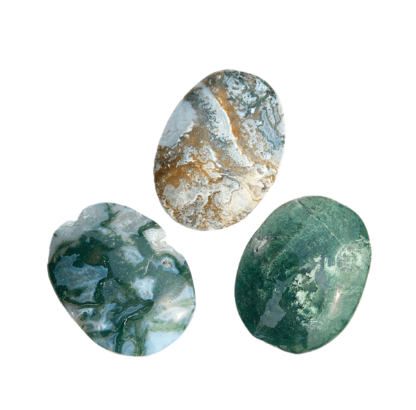 Moss Agate Palm Stone