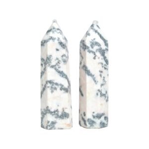Pink Zebra Stone Point