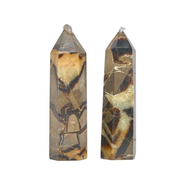 Septarium Point Crystal Wand Factory